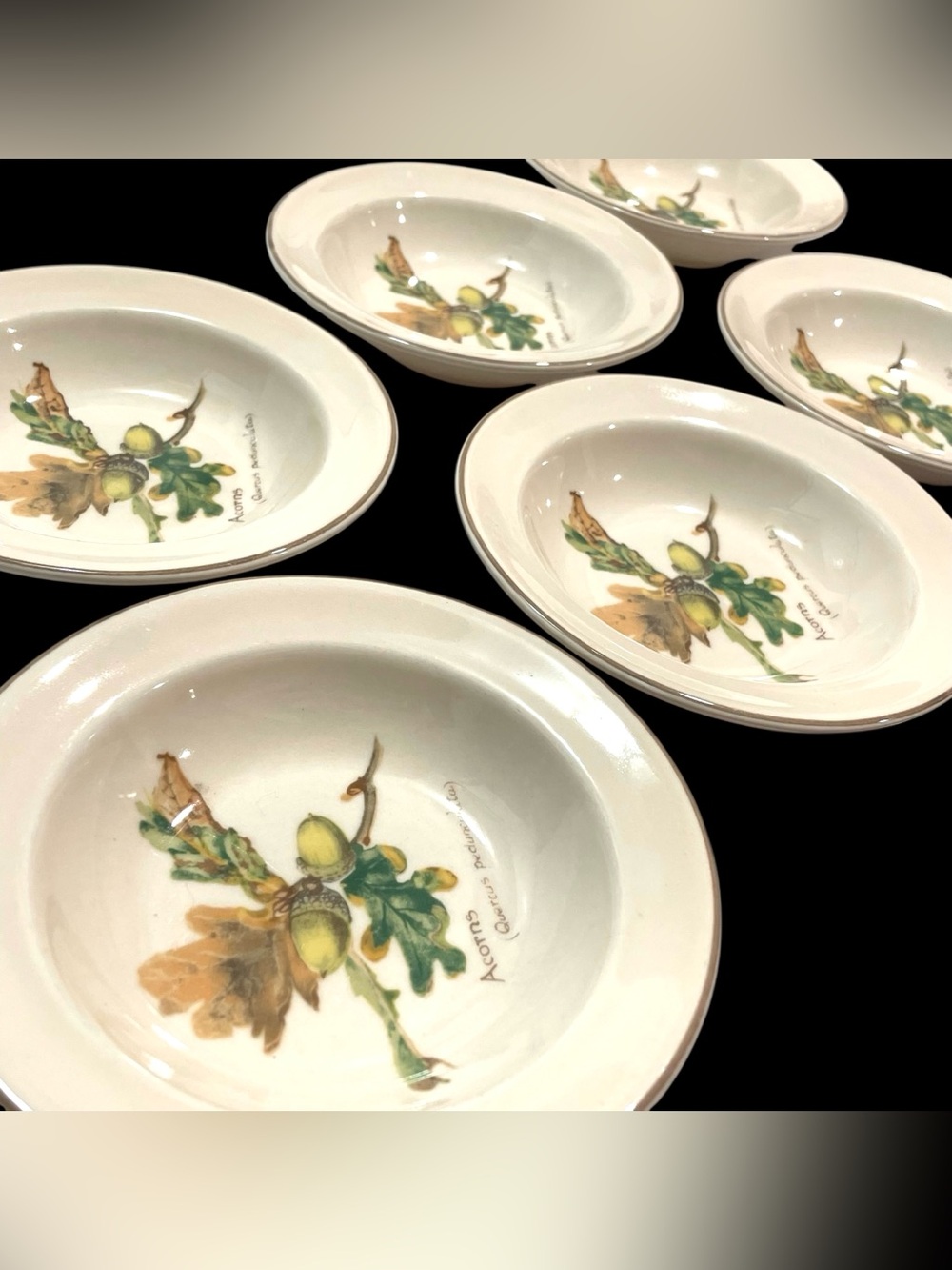 Vintage 1980s Country Diary Edwardian Lady by Noritake Rim Fruit/Dessert Bowls